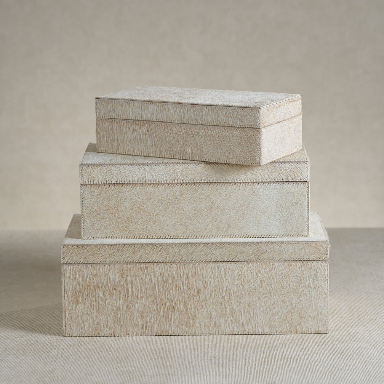 Tan Hair-On Hide Leather Storage Box - Image 2